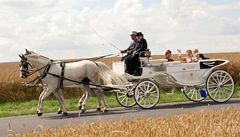 Kutsche - weiß, offen